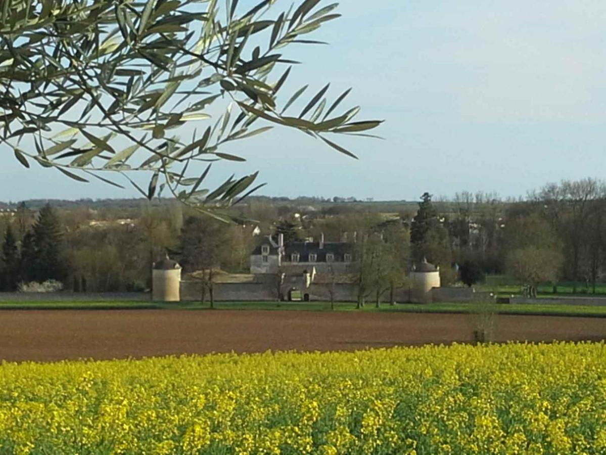 Au Grain D'Orge Villa Echire Екстериор снимка